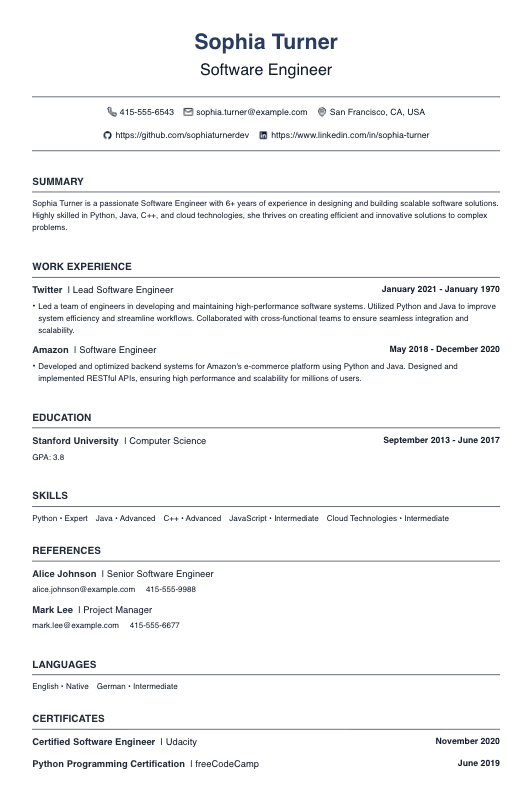 No Picture Software Developer Resume Template